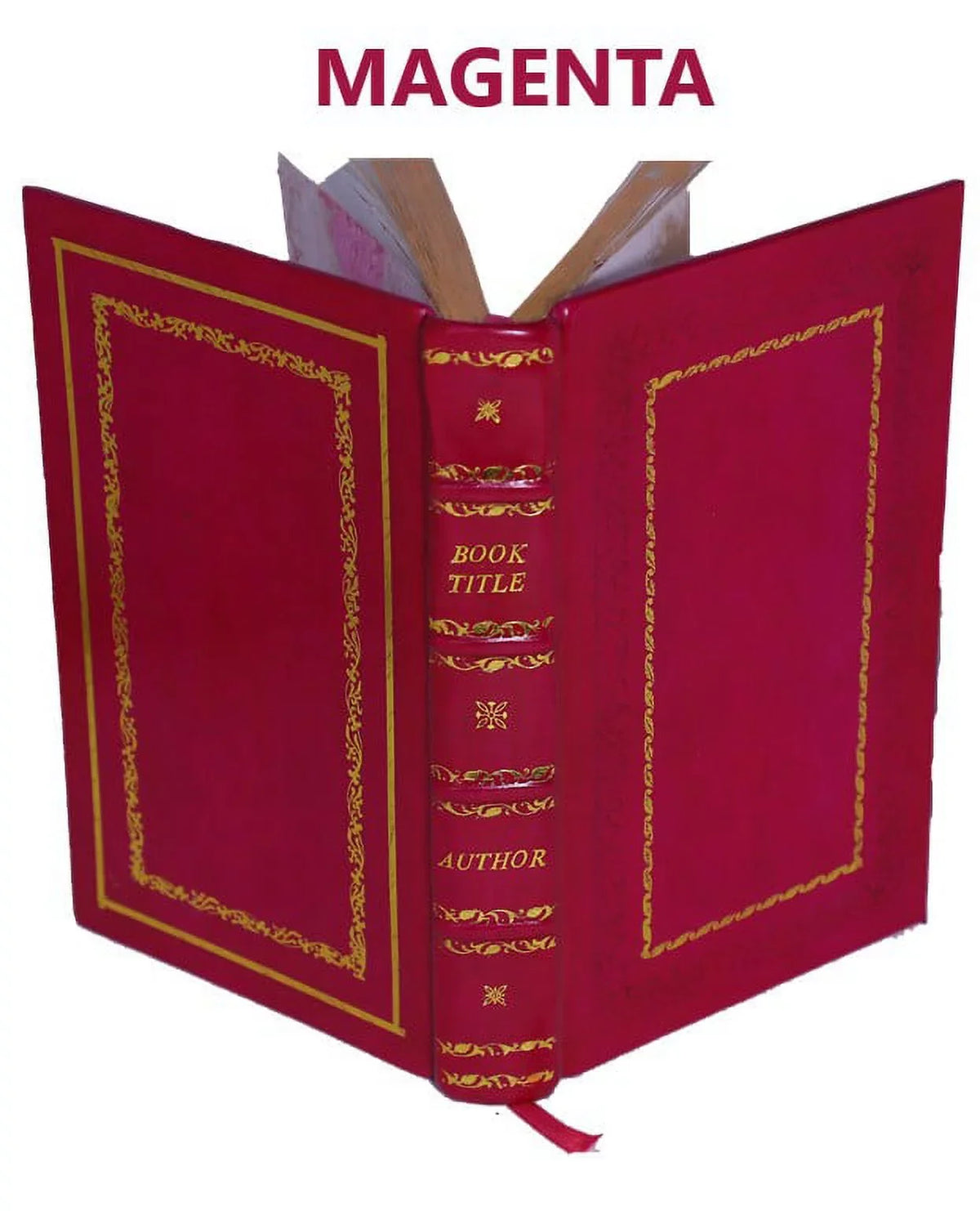 Historia de gentibus septentrionalibus authore Olao Magno, Gotho, archiepiscopo Vpsalensi, Suetiae & Gothiae primate 1562 [Premium Leather Bound]
