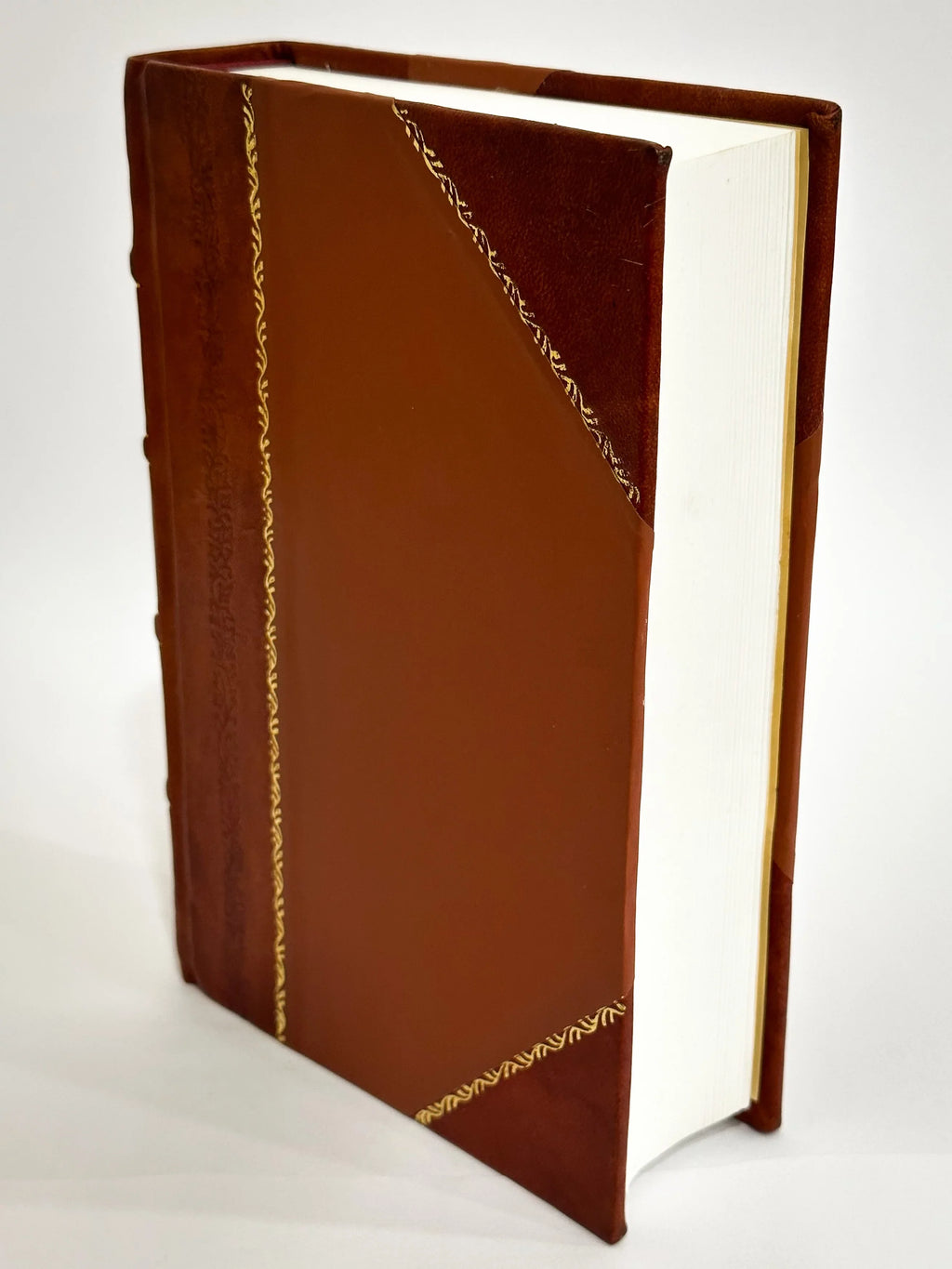 Gothorum Sueonumque Historia, Ex Probatis Antiquorum Monumentis Collecta, & in 24. Libros Redacta, Autore Io. Magno Gotho, Archiepiscopo Vpsalensi. Cum Indice Rerum Ac Gestorum (1558) [Leather Bound]