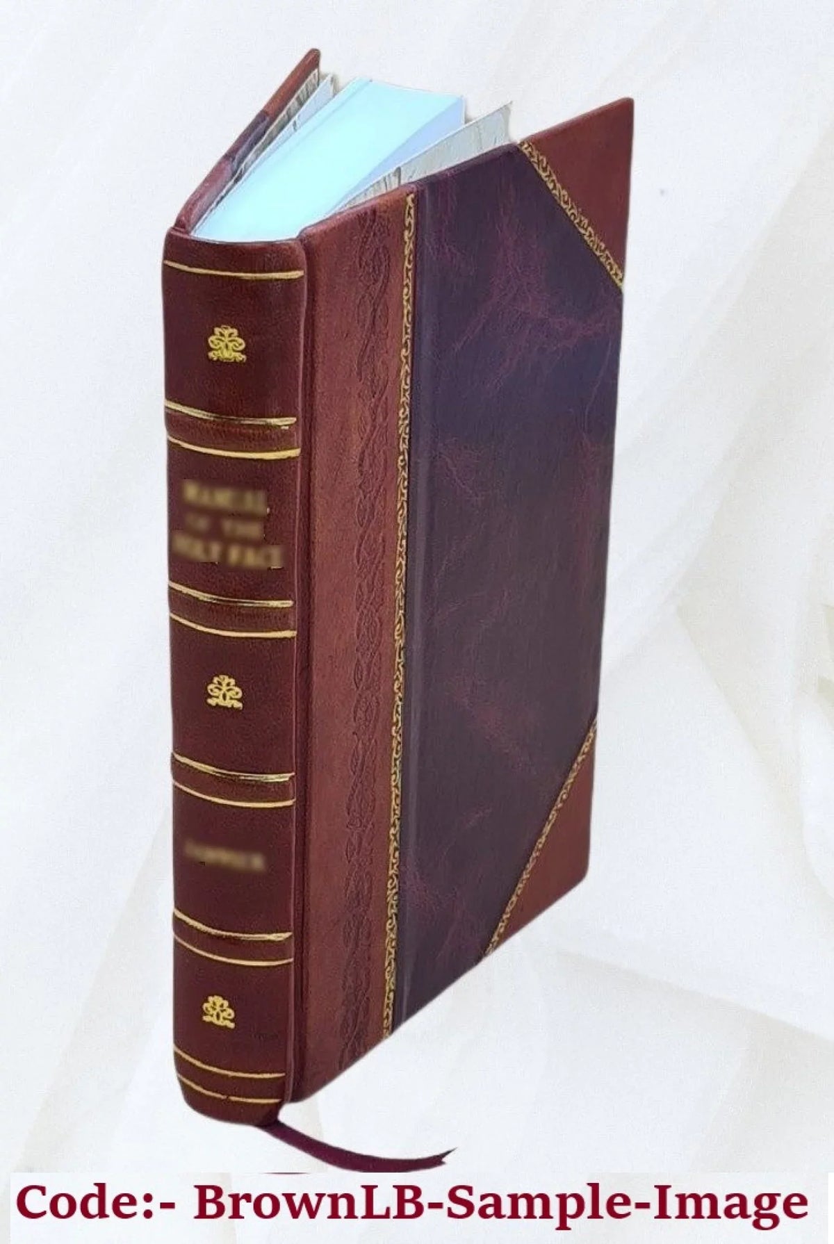 Doss v. Tully Volume Appellant's Main Brief [September 2, 1976] 1976 [Leather Bound]