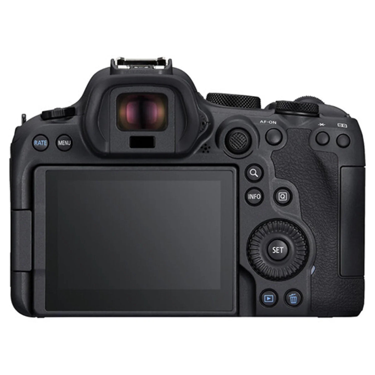 EOS R6 Mark II Mirrorless Camera with RF 24-105mm + EF 75-300mm Lens + SanDisk 32GB Memory Card + Case + LED Flash + ZeeTech Accessory Bundle