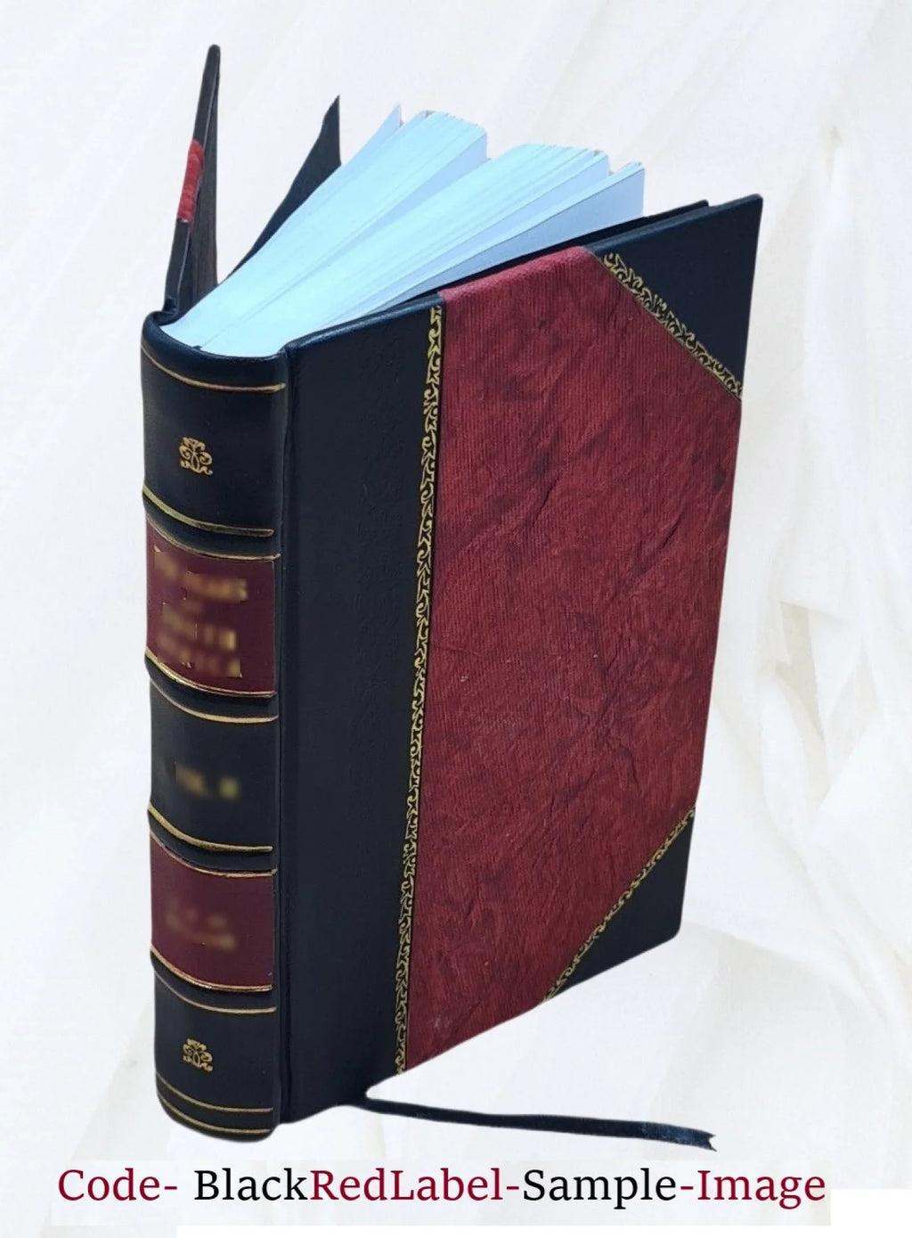 The bi-literal cypher of Sir Francis Bacon; discovered in his works and deciphered by Elizabeth Wells Gallup. 1901 [Leather Bound]