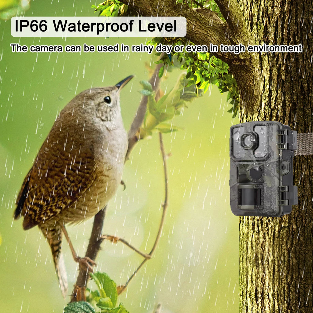GoolRC 4K Trail 16MP Wildlife Tracking with 2.0 Inch TFT Color Display PIR Sensors 0.5s Trigger Time Supports Infrared Motion Activated IP66 Fluid