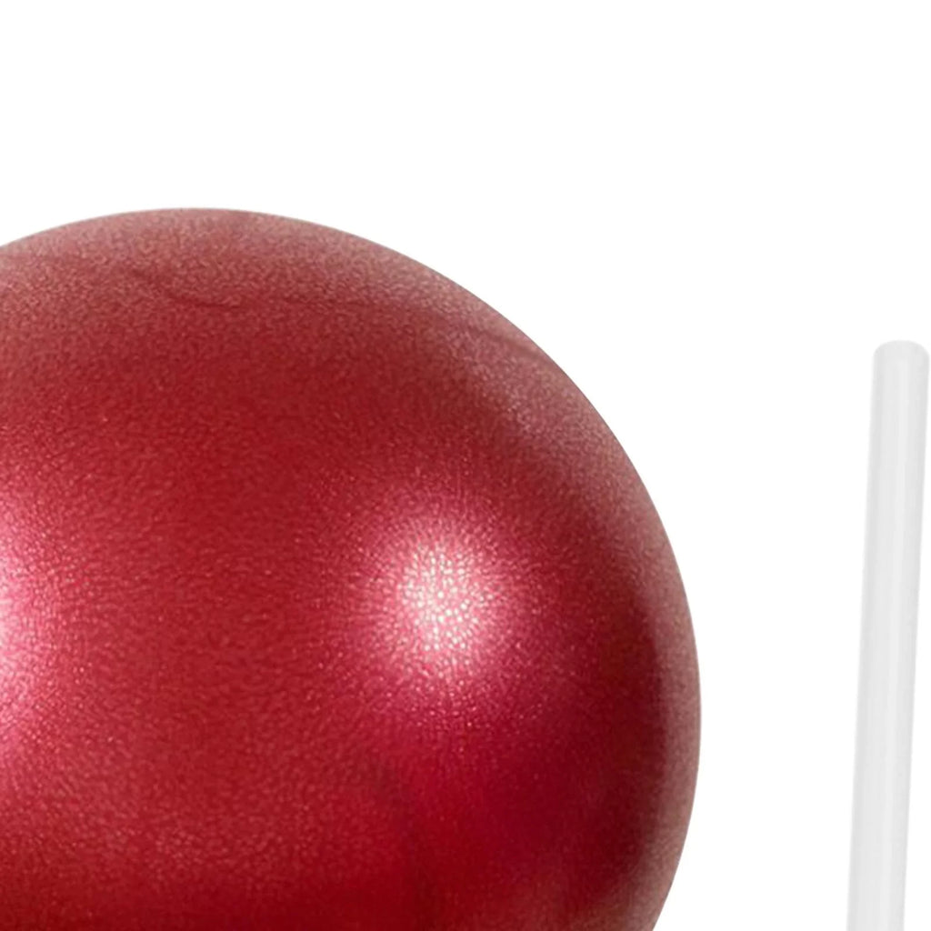 AMLESO 6xSmall Pilates Ball Heavy Duty Workout Ball for Home Gym Balance Red